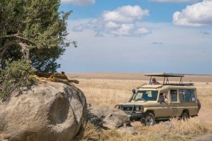 access-tanzania-safari-sleeping-lions