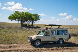 access-tanzania-safari-taking-photos-from-vehicle