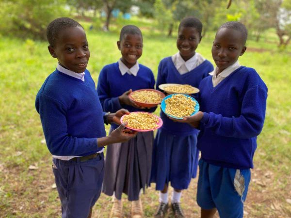 PZ School Meals Program
