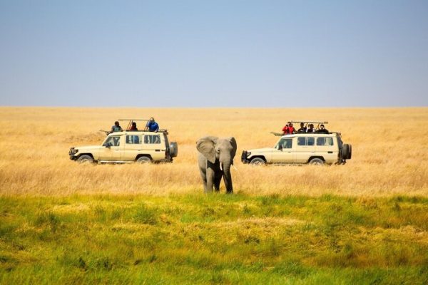 Tarangire National Park Safari