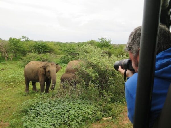 Tanzania Wildlife Safari Packages