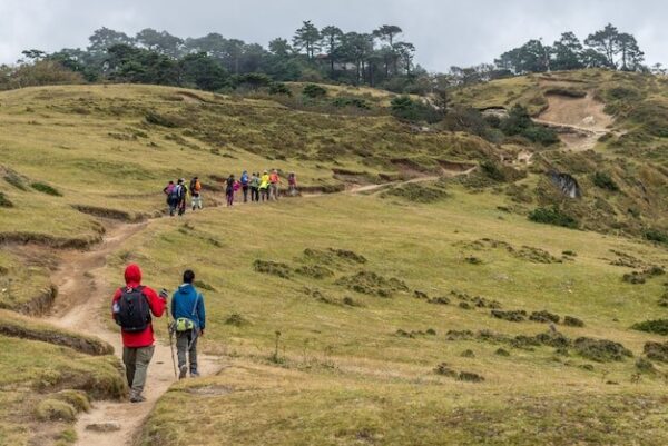 kilimanjaro-marathon-safari